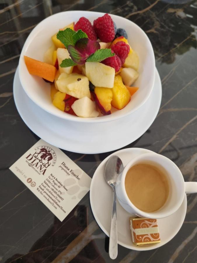 B&B Diana Pordenone Εξωτερικό φωτογραφία